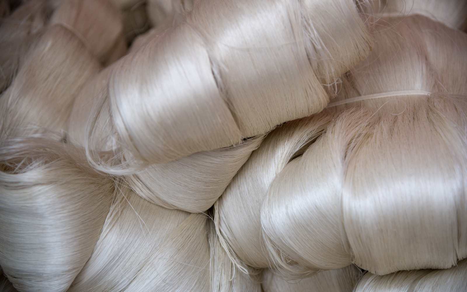 Image Title Alt Image