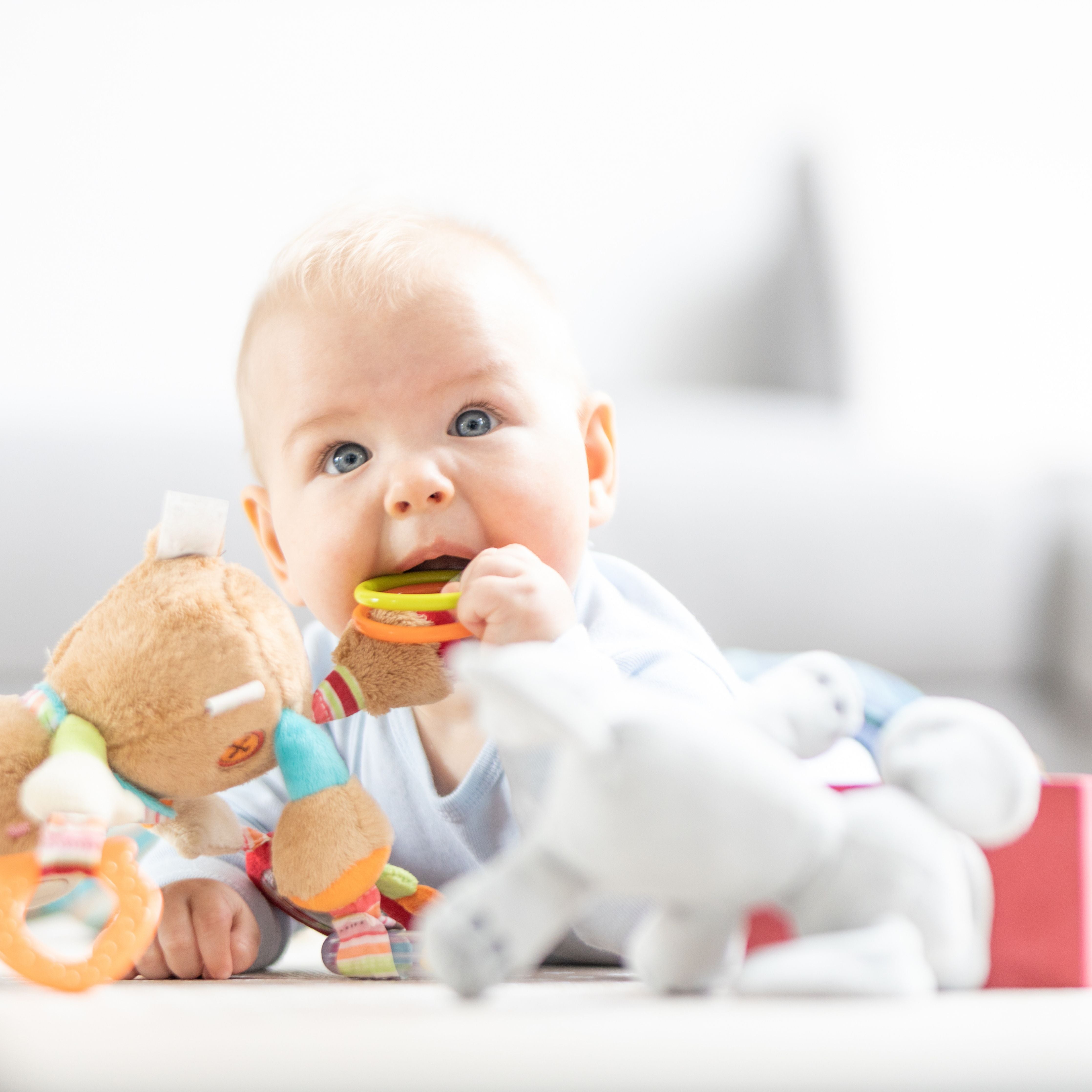 Image Title Alt Image